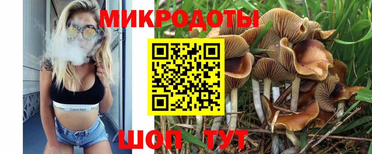 Псилоцибиновые грибы MAGIC MUSHROOMS Звенигород